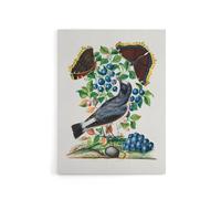 Artery8 Northern Wheatear & Mourning Cloak Bolton Canvas Wall Art | Size: W24" x H32" Artery8 Multicolor W24" x H32"