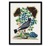 Artery8 Northern Wheatear & Mourning Cloak Bolton Framed Wall Art Print | Size: A4 Artery8 Multicolor A4
