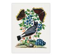 Artery8 Northern Wheatear & Mourning Cloak Bolton Wall Art Poster Print | Size: W24" x H32" Artery8 Multicolor W24" x H32"
