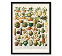 Artery8 Nouveau Larousse Illustre Framed Wall Art Print Fruits & Vegetables in Beige | Size: A3 Artery8 Beige A3