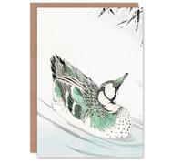 Artery8 Numata Kashu Art Card Spectacled Teal Duck Japanese