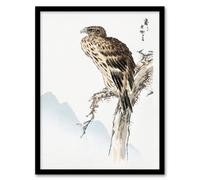 Artery8 Numata Kashu Framed Wall Art Print Black Eared Kite Bird Japan - A4 Size