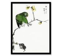 Artery8 Numata Kashu Framed Wall Art Print Fairy Pitta & Japan Allspice | Size: A4 Artery8 Multicolor A4