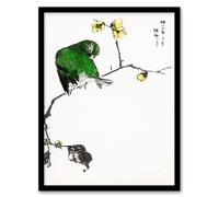 Artery8 Numata Kashu Framed Wall Art Print Fairy Pitta & Japan Allspice | Size: A4 Artery8 Multicolor A4