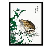 Artery8 Numata Kashu Framed Wall Art Print Greenshank & Bupleurum Japan | Size: A4 Artery8 Multicolor A4