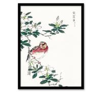 Artery8 Numata Kashu Framed Wall Art Print Long Tailed Rosefinch Japan | Size: A3 Artery8 Multicolor A3