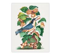 Artery8 Nuthatch Bird Hazel Oak & Bramble Bolton Wall Art Poster Print | Size: W24" x H32" Artery8 Multicolor W24" x H32"