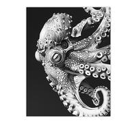 Artery8 Octopus Black White Drawing Ernst Haeckel Style Living Room Large Wall Art Poster Print Thick Paper 18X24 Inch