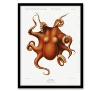 Artery8 Octopus Vintage Illustration Carl Chun Framed Wall Art Print 12X16"
