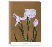 Artery8 Ogawa Kazumasa Art Card Japanese Water Iris Flowers