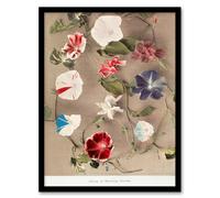 Artery8 Ogawa Kazumasa Framed Wall Art Print Group Of Morning Glories | Size: A4 Artery8 Multicolor A4