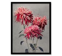 Artery8 Ogawa Kazumasa Framed Wall Art Print Pink Chrysanthemum Flowers | Size: A4 Artery8 Pink A4