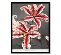 Artery8 Ogawa Kazumasa Framed Wall Art Print Pink Spotted Lily Flower Blooms | Size: A4 Artery8 Pink A4