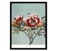 Artery8 Ogawa Kazumasa Framed Wall Art Print Tree Peonies Pink Flower Blooms - A3 Size