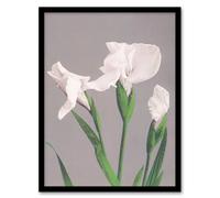 Artery8 Ogawa Kazumasa Framed Wall Art Print White Irises Blooming Flowers in Green | Size: A3 Artery8 Green A3