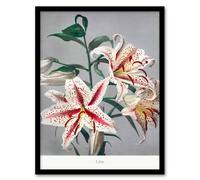 Artery8 Ogawa Kazumasa Framed Wall Art Print White Pink Spotted Lilly Flowers | Size: A3 Artery8 Pink A3