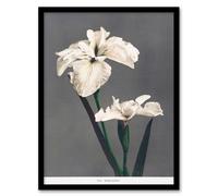 Artery8 Ogawa Kazumasa Framed Wall Art Print White Water Iris Flowers in Grey | Size: A4 Artery8 Grey A4