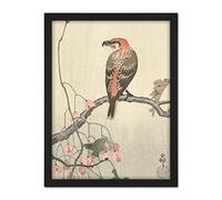 Artery8 Ohara Koson Crossbill On Tree Branch Japanese Artwork Framed Wall Art Print 18X24 Inch