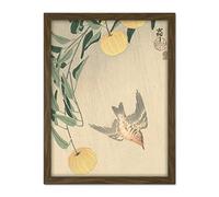 Artery8 Ohara Koson Cuckoo In The Rain Japanese Painting Artwork Framed Wall Art Print 18X24 Inch