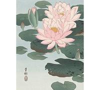 Artery8 Ohara Koson Flowering Water Lily Painting Premium Wall Art Canvas Print 18X24 Inch