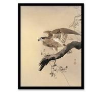 Artery8 Ohara Koson Framed Wall Art Print Hawk Bird of Prey on Tree Branch in Beige | Size: A3 Artery8 Beige A3