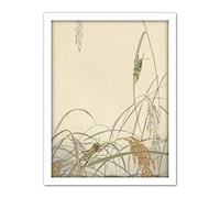 Artery8 Ohara Koson Grasshoppers On Rice Plants Painting Artwork Framed Wall Art Print 18X24 Inch