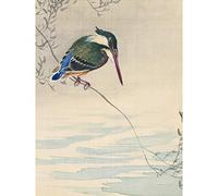 Artery8 Ohara Koson Kingfisher Bird Japanese Painting Premium Wall Art Canvas Print 18X24 Inch