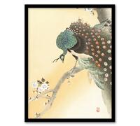 Artery8 Ohara Koson Peacock On A Cherry Blossom Tree Framed Wall Art Print Home Décor A3