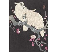 Artery8 Ohara Koson Two Cockatoo And Plum Blossom Painting Unframed Wall Art Print Poster Home Decor Premium