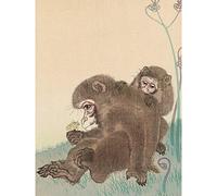 Artery8 Ohara Koson Two Monkeys With Butterfly Painting Premium Wall Art Canvas Print 18X24 Inch