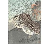 Artery8 Ohara Koson Two Quail Full Moon Japanese Painting Unframed Wall Art Print Poster Home Decor Premium