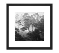 Artery8 Oja Lindi Nature Reserve Estonia Forest Trees Photo 8X8 Inch Square Wooden Framed Wall Art Print Picture with Mount in Black Artery8 Black
