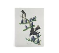 Artery8 Olive Sided Flycatcher Bird on Fir Tree Audubon Canvas Wall Art in White | Size: W24" x H32" Artery8 White W24" x H32"