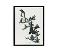 Artery8 Olive Sided Flycatcher Bird on Fir Tree Audubon Framed Canvas Wall Art in White | Size: W12" x H16" Artery8 White W12" x H16"