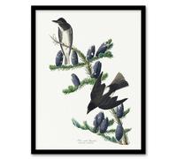 Artery8 Olive Sided Flycatcher Bird on Fir Tree Audubon Framed Wall Art Print in White | Size: W12" x H16" Artery8 White W12" x H16"