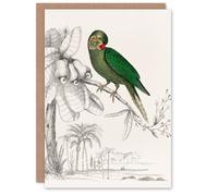 Artery8 Oliver Goldsmith Art Card Green Parakeet Parrot Drawing