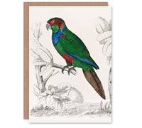 Artery8 Oliver Goldsmith Art Card Parakeet Parrot Bird Drawing