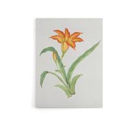 Artery8 Orange Lily Flower Canvas Wall Art Print Vintage Japan Botanical in Pink | Size: W12" x H16" Artery8 Pink W12" x H16"