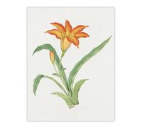 Artery8 Orange Lily Flower Japan Wall Art Print Vintage Japanese Floral in Pink | Size: W12" x H16" Artery8 Pink W12" x H16"
