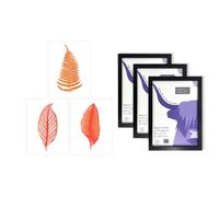 Artery8 Orange Plants Wall Art - Set of 3 A4 Sized Art with Black Frames - Elegant Fern Frond Tree Bright Orange Leaf Detailed Foliage Botanical