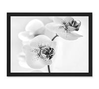 Artery8 Orchid Flower Black White Artwork Framed A3 Wall Art Print
