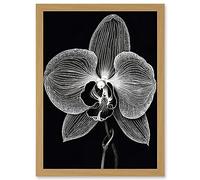 Artery8 Orchid Flower Bloom Black and White Blind Contour Artwork Framed A3 Wall Art Print