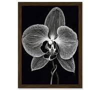 Artery8 Orchid Flower Bloom Black and White Blind Contour Artwork Framed A3 Wall Art Print