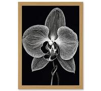 Artery8 Orchid Flower Bloom Black and White Blind Contour Artwork Framed Wall Art Print A4
