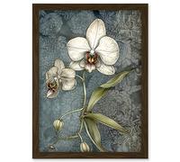 Artery8 Orchid Flower Blooms Pastel Colour Art Nouveau Artwork Framed A3 Wall Art Print