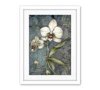 Artery8 Orchid Flower Blooms Pastel Colour Art Nouveau Artwork Framed Wall Art Print 18X24 Inch