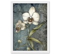 Artery8 Orchid Flower Blooms Pastel Colour Art Nouveau Artwork Framed Wall Art Print A4