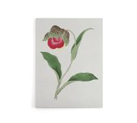 Artery8 Orchid Flower Canvas Wall Art Print Vintage Japanese Botanical in Orange | Size: W12" x H16" Artery8 Orange W12" x H16"