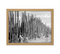 Artery8 Organ Cactus Central Mexico 1920 Artwork Framed Wall Art Print 18X24 Inch