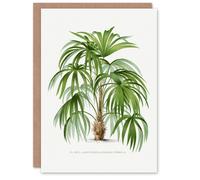 Artery8 Oswald de Kerchove Art Card Acathophiza Aculeata Palm Tree in White Artery8 White
